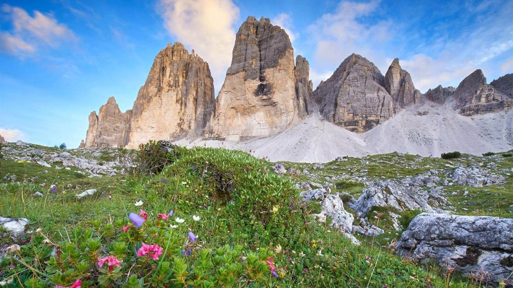 Апартаменти Alpine Deluxe 2.0 Рісконе Екстер'єр фото